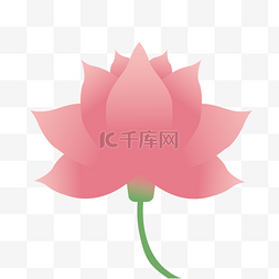 小清新粉色荷花矢量图