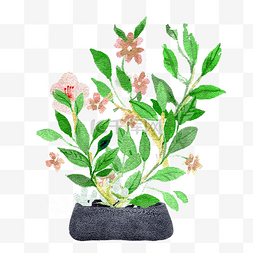 手绘噪点插画风格水彩植物水果树