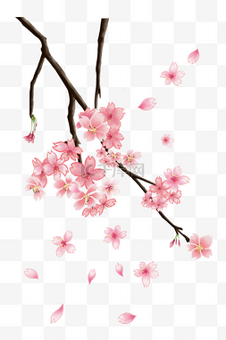 樱花花瓣插画图片_开满花的樱花树