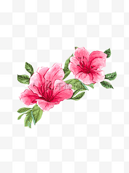 手绘风水彩艺术花卉红花绿叶元素