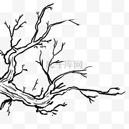 树枝线条图片_冬季手绘线条枯树枝免抠