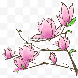 春暖花开粉色图片_手绘开花的春季花枝