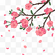 粉色桃花花瓣飘落动图
