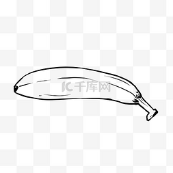 香蕉黑白手绘图片_线描香蕉