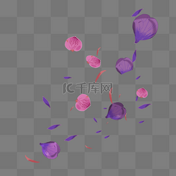 紫色花瓣漂浮图片_飘着的漂亮花瓣插图