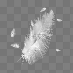 羽毛漂浮图片_白色羽毛漂浮元素