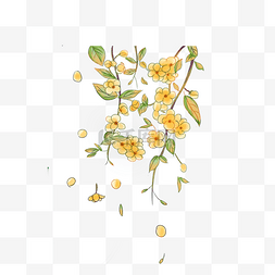 黄色植物花朵