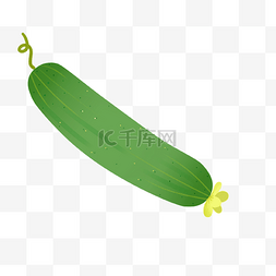 黄瓜泛起图片_健康蔬菜食品黄瓜