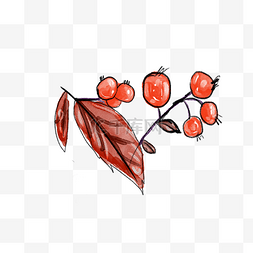 一株红色的野果子