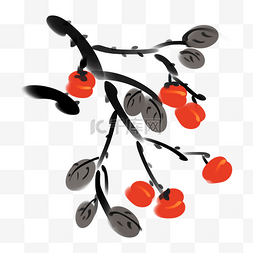 树叶枝条插画图片_红色的柿子树水墨插画