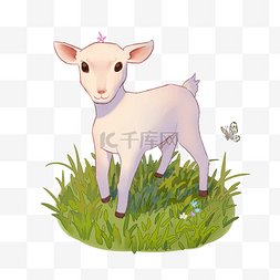 在绿色草地吃青草的小白羊和小蝴
