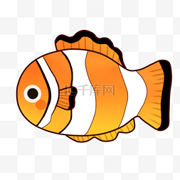五彩斑斓鱼图片_鱼橘色小丑鱼海洋生物可爱