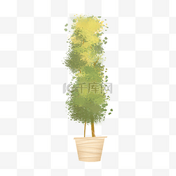 绿色植物盆景免抠图