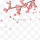 植物梅花红色粉色手绘插画