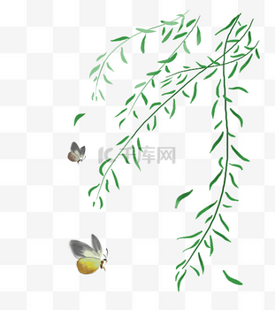 清明节手绘柳枝素材