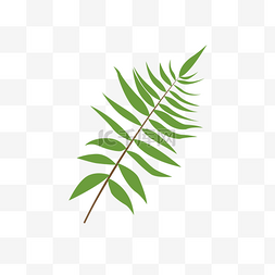 树叶环圈图片_绿色矢量棕榈叶素材图