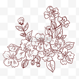 手绘线描花卉插画