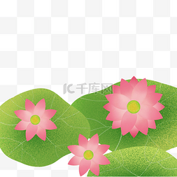 中国传统节日海报设计莲花荷花元