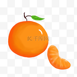 新鲜图片_有机水果橘子插画