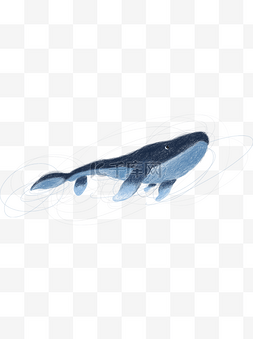 海洋中游泳的蓝色鲸鱼卡通元素