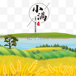 24节气图图片_小满节气稻田黄色小麦