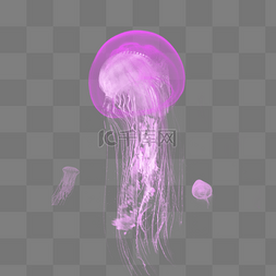 透明章鱼图片_紫色透明生物水母