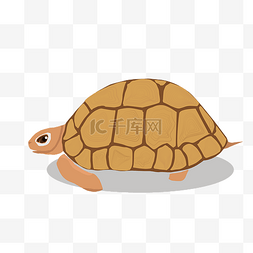 新奇物种图片_矢量手绘卡通乌龟