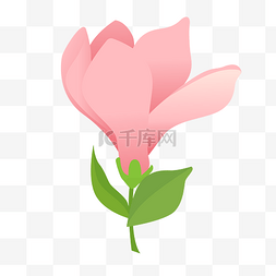 菊花卡通图片_矢量免扣卡通兰花