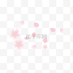 樱花花瓣背景素材