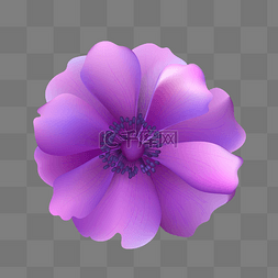 紫色的花朵矢量素材