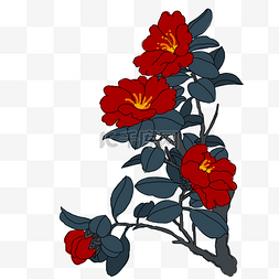 中国风手绘茶花卉插图