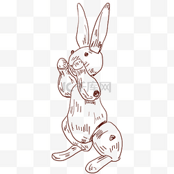 小动物十二生肖小兔子线描兔