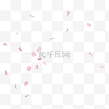 粉色简约一地花瓣素材