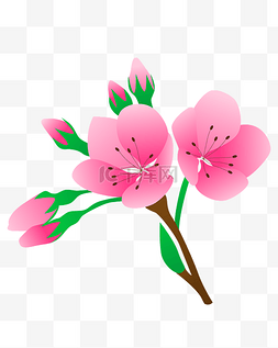 粉色花手绘花图片_矢量免扣卡通花朵