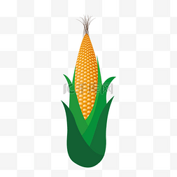种玉米玉米图片_矢量卡通鼠绘玉米