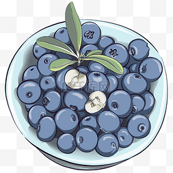 一盘健康美味的蓝莓