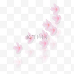 手绘樱花图片_樱花漂浮PNG素材