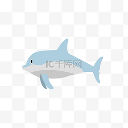 海洋手绘插图图片_白海豚PNG免抠