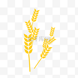 金黄色小麦矢量麦穗