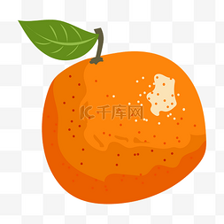 手绘水果橘子插画