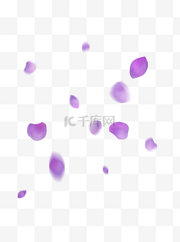 花瓣飘落图片_漂浮的紫色花瓣手绘绣球花瓣飘落