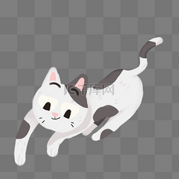 夏季白色猫咪睡觉手绘插画