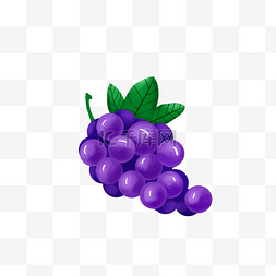 简约小清新元素图片_简约手绘紫色的葡萄插画海报元素
