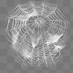 蜘蛛网网絮效果设计