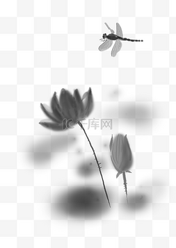 黑白手绘花图片_中国水墨手绘蜻蜓