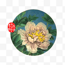 工笔荷花鸟图片_芍药牡丹白茶花水墨国画典雅雍容