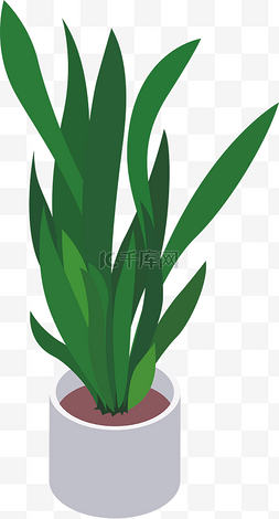 卡通盆栽植物图片_盆栽植物PNG下载