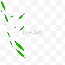 飘落下的绿色的竹叶