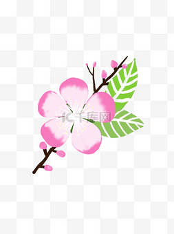 粉色桃花瓣图片_手绘粉色桃花商用素材