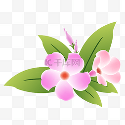 花儿粉色图片_手绘粉色花朵